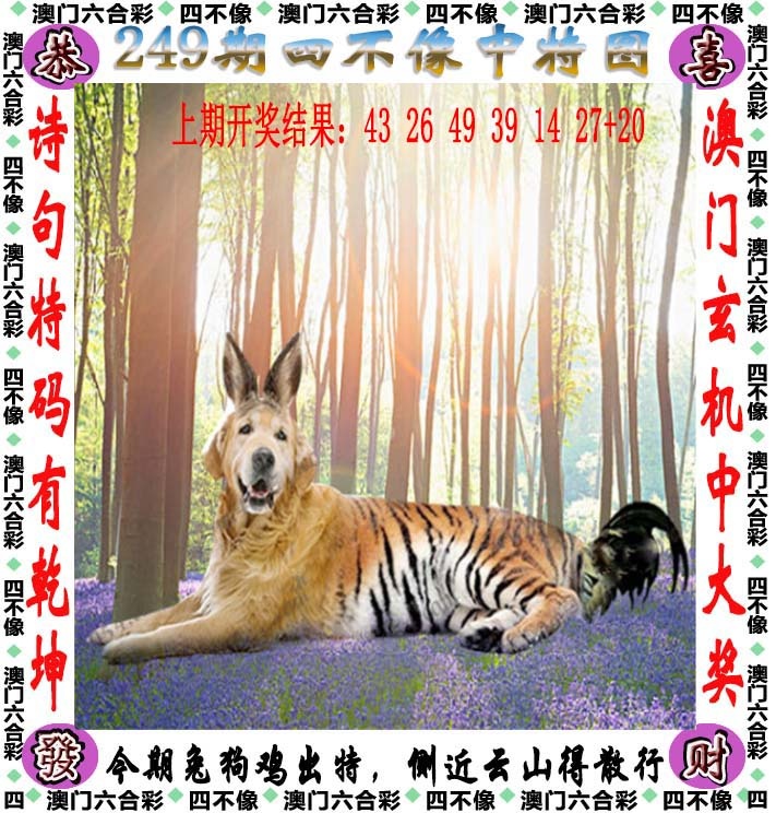 跑狗网249期：四不像
