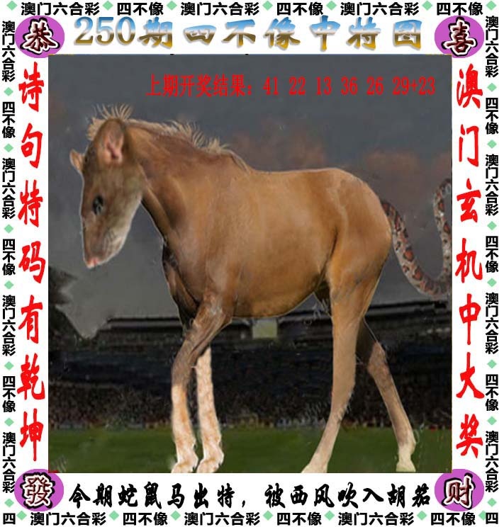 跑狗网：250期四不像