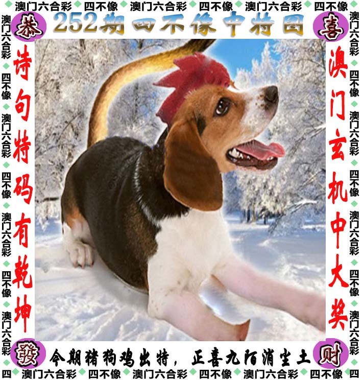 广西码王论坛：252期四不像