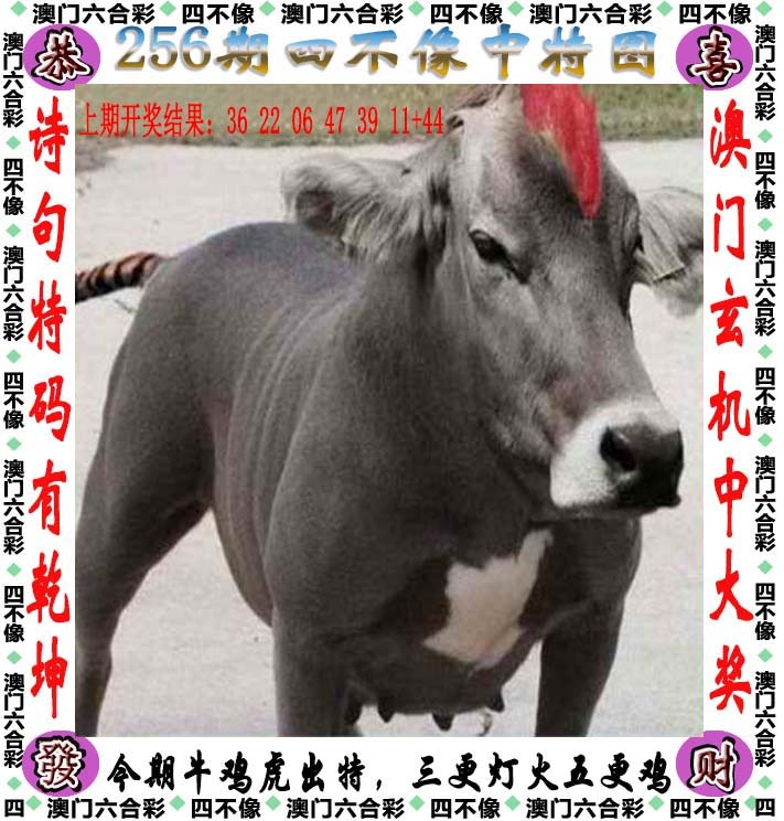 香港赛马会：256期四不像