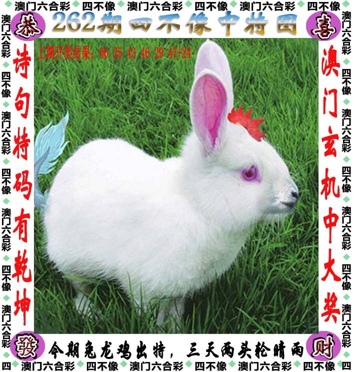 跑狗论坛：262期四不像