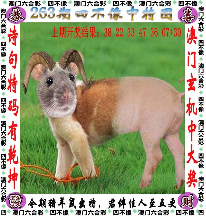 澳门跑狗图263期：四不像