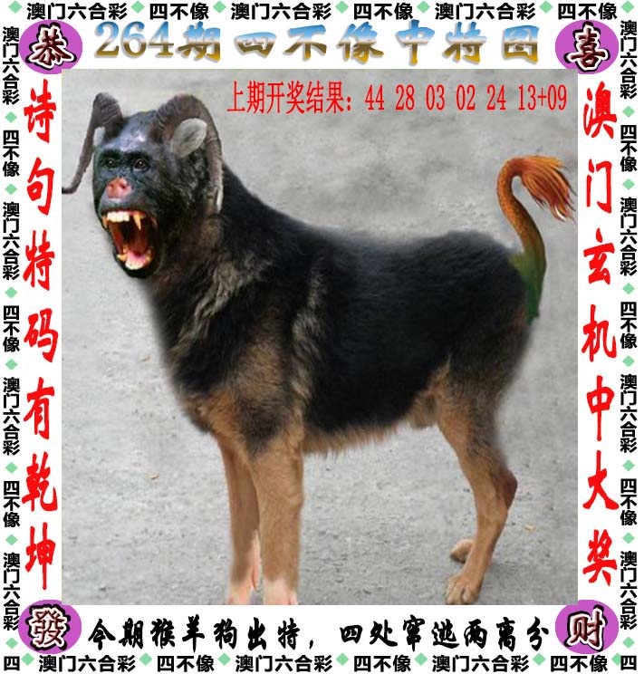 黄大仙264期：四不像