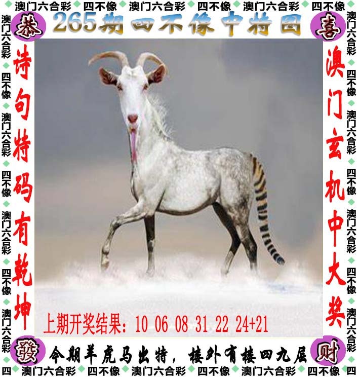 跑狗网：265期四不像