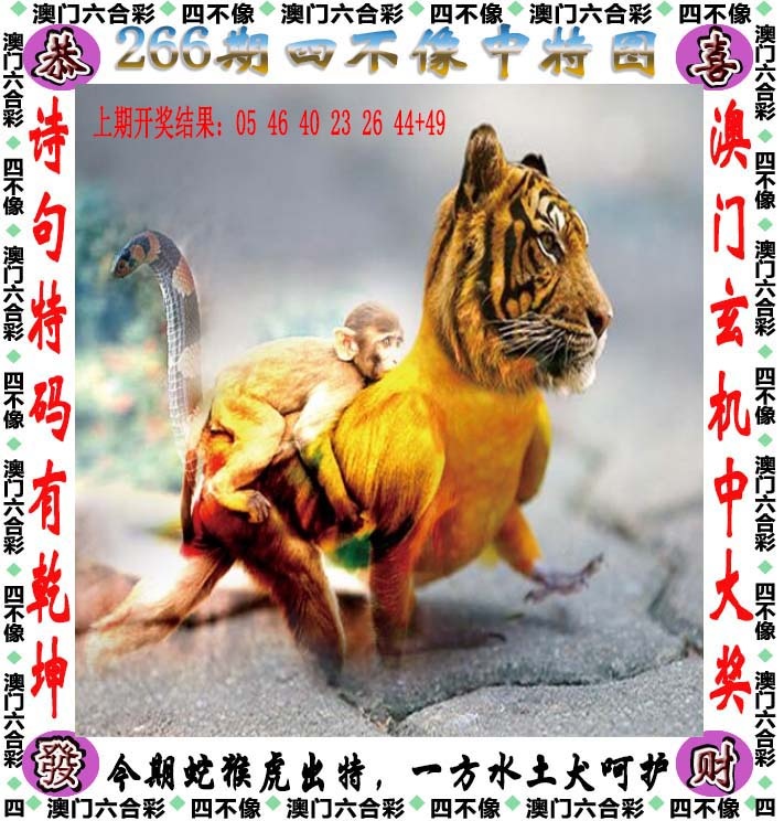 广东江门：266期四不像