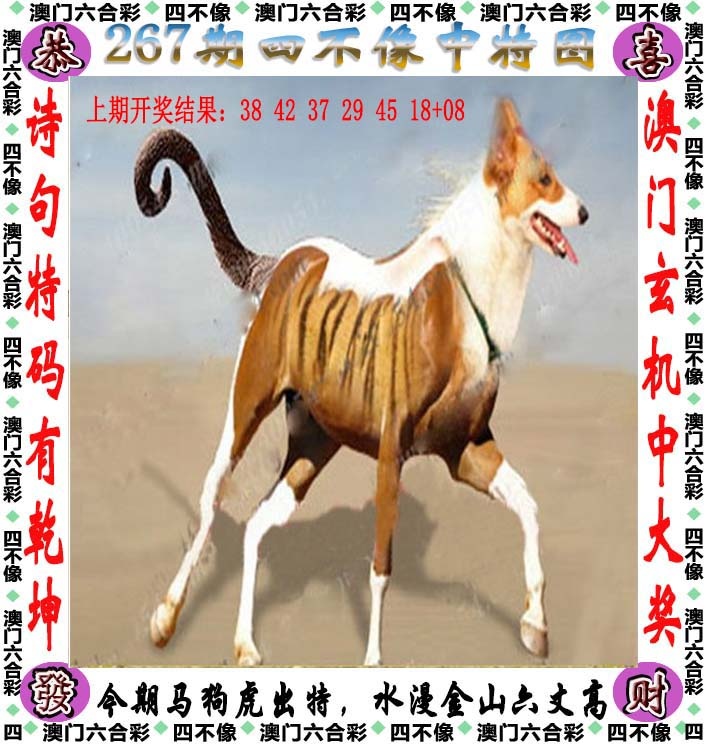 新澳门六合彩内幕特码：267期四不像