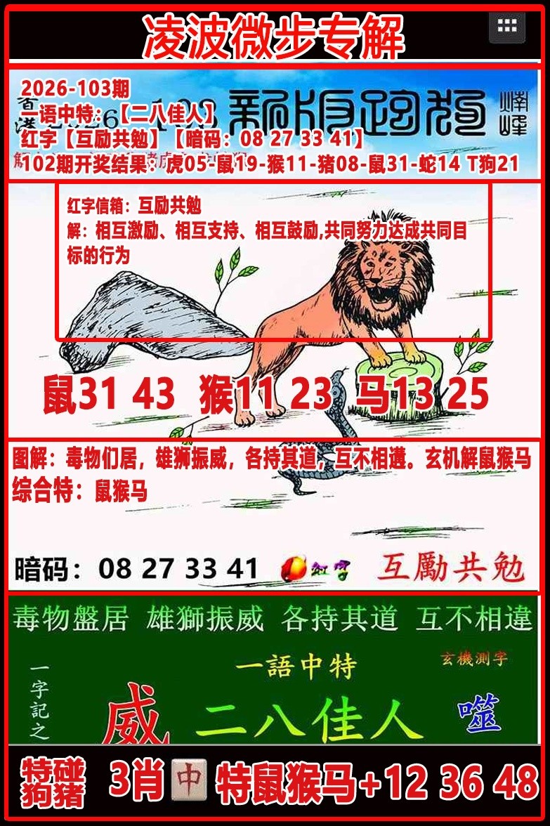 香港六合彩网址104期：凌波微步专解跑狗