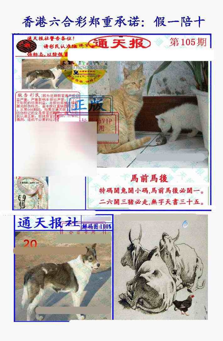 105期今日闲情2：假一陪十通天报