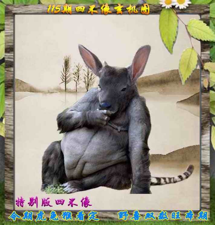 澳门金算盘高手坛：115期四不像特别版