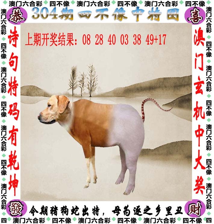 香港白姐最准：304期四不像